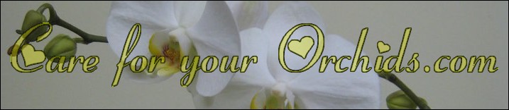 Care for your Orchids.com Logo