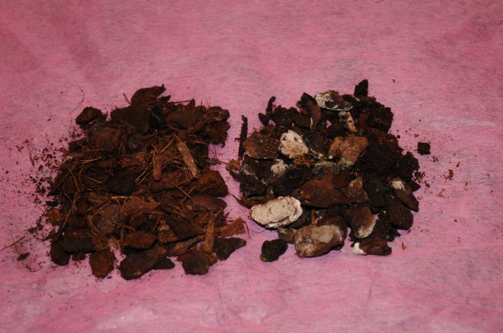 Fresh compost on the left old compost on the right.